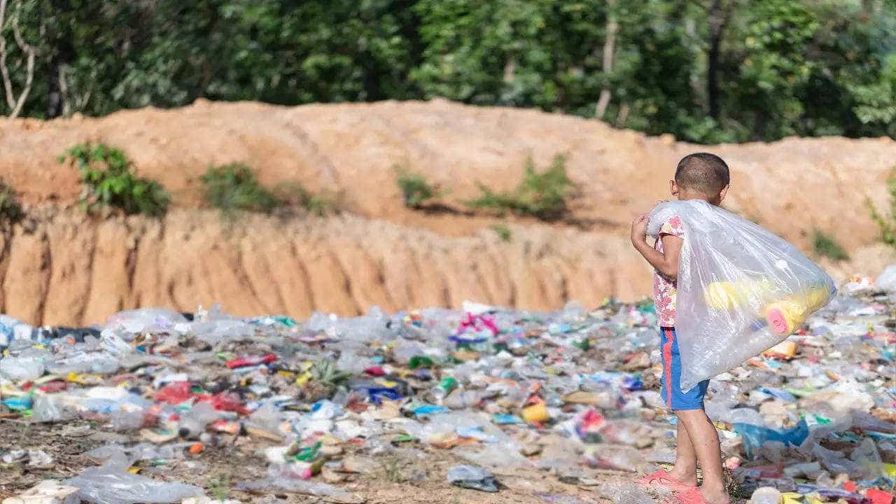 Plastic Ban: ಇಂದಿನಿಂದ ಏಕ ಬಳಕೆಯ ಪ್ಲಾಸ್ಟಿಕ್ಗೆ ನಿಷೇಧ; 1 ಲಕ್ಷ ರೂ. ದಂಡ ಕಟ್ಟಬೇಕಾದೀತು ಹುಷಾರ್! Plastic Ban: ಇಂದಿನಿಂದ ಏಕ ಬಳಕೆಯ ಪ್ಲಾಸ್ಟಿಕ್ಗೆ ನಿಷೇಧ; 1 ಲಕ್ಷ ರೂ. ದಂಡ ಕಟ್ಟಬೇಕಾದೀತು ಹುಷಾರ್!