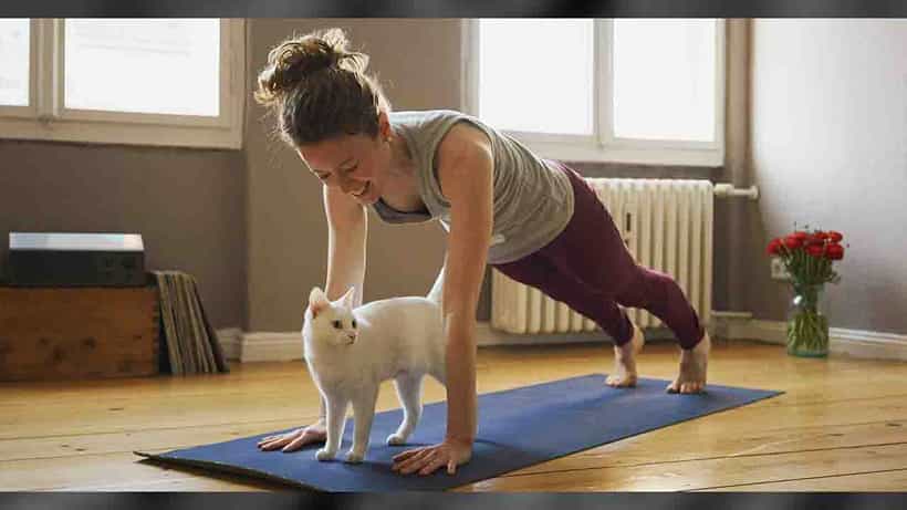 Health: ಯಾರು ಹೋಗ್ತಾರೆ ದಿನಾ ಬೆಳಗ್ಗೆದ್ದು ಜಿಮ್ಗೆ