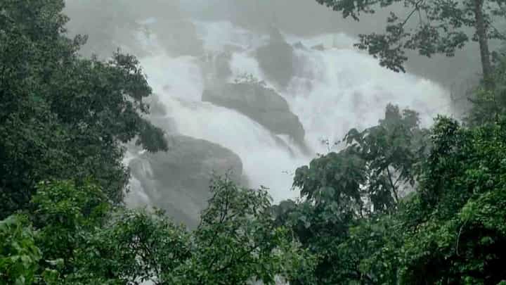 ಜಲಪಾತಕ್ಕೆ ಜೀವ ಕಳೆ: ಮೈದುಂಬಿ ಹರಿಯುತ್ತಿರೋ ಜಲಪಾತ ವೀಕ್ಷಿಸಲು ಪ್ರವಾಸಿಗರ ದಂಡು ಜಲಪಾತಕ್ಕೆ ಜೀವ ಕಳೆ: ಮೈದುಂಬಿ ಹರಿಯುತ್ತಿರೋ ಜಲಪಾತ ವೀಕ್ಷಿಸಲು ಪ್ರವಾಸಿಗರ ದಂಡು