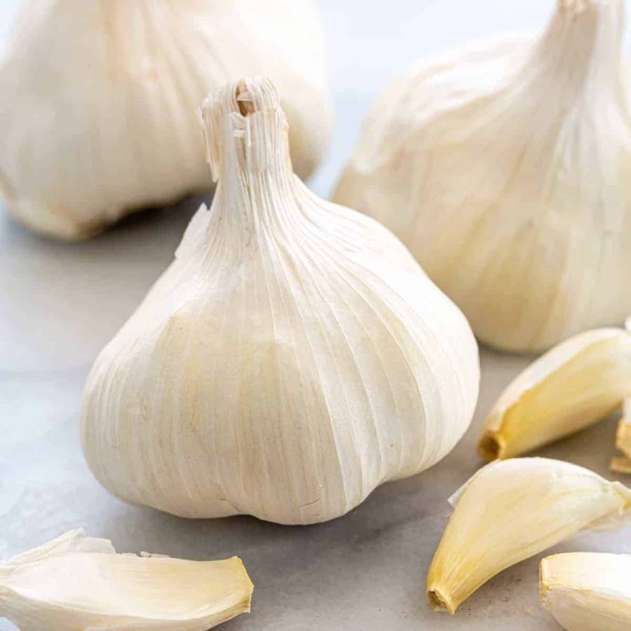 Health Benefits of Garlic: ನೀವು ಪ್ರತಿದಿನ ಬೆಳ್ಳುಳ್ಳಿ ತಿನ್ನುತ್ತೀರಾ..? ಆರೋಗ್ಯಕಾರಿ ಬೆಳ್ಳುಳ್ಳಿಯ ಪ್ರಯೋಜನ ತಿಳಿಯಿರಿ