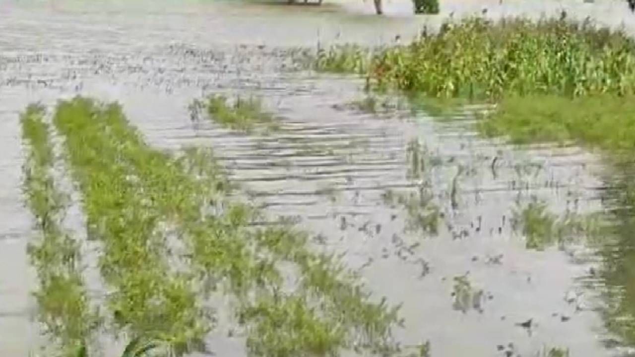 Karnataka Rain: ಭಾರೀ ಮಳೆಯಿಂದಾಗಿ ನೂರಾರು ಎಕರೆ ಭತ್ತದ ಗದ್ದೆಗೆ ನುಗ್ಗಿದ ನೀರು: ಬೆಳಗಾವಿ ಜಿಲ್ಲೆಯಲ್ಲಿ ಮಳೆ ಅವಾಂತರ Karnataka Rain: ಭಾರೀ ಮಳೆಯಿಂದಾಗಿ ನೂರಾರು ಎಕರೆ ಭತ್ತದ ಗದ್ದೆಗೆ ನುಗ್ಗಿದ ನೀರು: ಬೆಳಗಾವಿ ಜಿಲ್ಲೆಯಲ್ಲಿ ಮಳೆ ಅವಾಂತರ