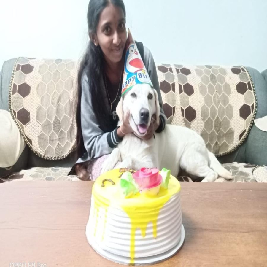 Childrens made birthday for dog in Anekal

