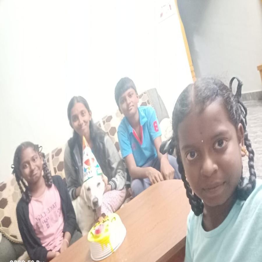 Childrens made birthday for dog in Anekal
