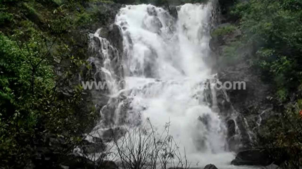 ಹಾಲಿನ ನೊರೆಯಂತೆ ಧುಮ್ಮಕ್ಕುತ್ತಿರುವ ಬಂಗಾರ ಕುಸುಮ ಜಲಪಾತ ನೋಡಲು ಎರಡು ಕಣ್ಣು ಸಾಲವು