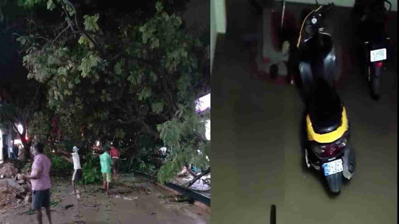 Karnataka Rain: ಬೆಂಗಳೂರಲ್ಲಿ ಸುರಿದ ಭಾರೀ ಮಳೆಗೆ ಮನೆ ಮೇಲೆ ಉರುಳಿಬಿದ್ದ ಬೃಹತ್ ಮರ; ಮನೆಗಳಿಗೆ ನುಗ್ಗಿದ ನೀರು