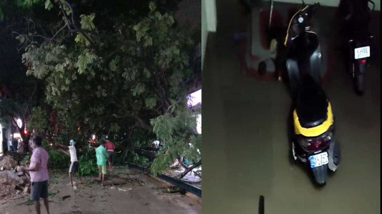 Karnataka Rain: ಬೆಂಗಳೂರಲ್ಲಿ ಸುರಿದ ಭಾರೀ ಮಳೆಗೆ ಮನೆ ಮೇಲೆ ಉರುಳಿಬಿದ್ದ ಬೃಹತ್ ಮರ; ಮನೆಗಳಿಗೆ ನುಗ್ಗಿದ ನೀರು Karnataka Rain: ಬೆಂಗಳೂರಲ್ಲಿ ಸುರಿದ ಭಾರೀ ಮಳೆಗೆ ಮನೆ ಮೇಲೆ ಉರುಳಿಬಿದ್ದ ಬೃಹತ್ ಮರ; ಮನೆಗಳಿಗೆ ನುಗ್ಗಿದ ನೀರು