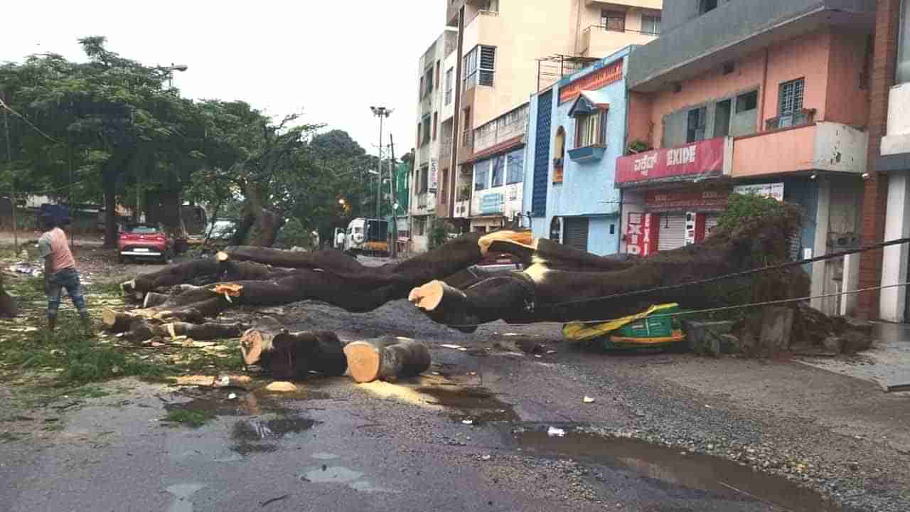 Bengaluru Rain: ಸಾಯಿ ಲೇಔಟ್​ಗೆ ಸಚಿವ ಬೈರತಿ ಬಸವರಾಜ್ ದೌಡು, ಧರೆಗುರುಳಿದ ಮರಗಳು, ಹಲವೆಡೆ ಪವರ್ ಕಟ್