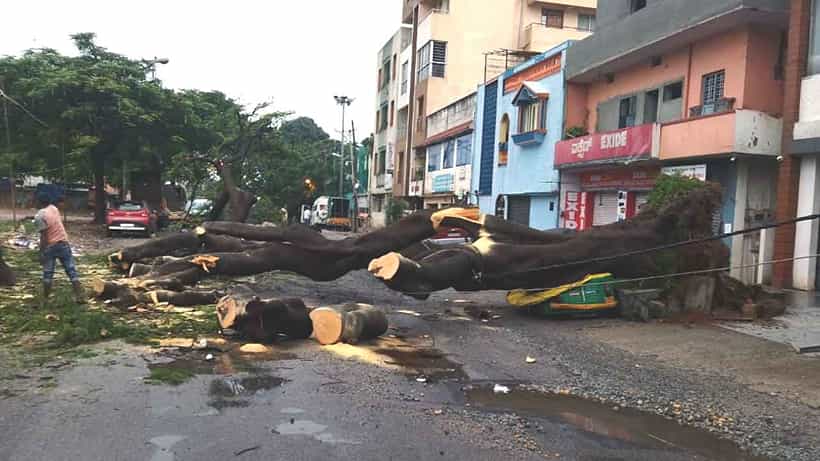 Bengaluru Rain: ಸಾಯಿ ಲೇಔಟ್ಗೆ ಸಚಿವ ಬೈರತಿ ಬಸವರಾಜ್ ದೌಡು, ಧರೆಗುರುಳಿದ ಮರಗಳು, ಹಲವೆಡೆ ಪವರ್ ಕಟ್