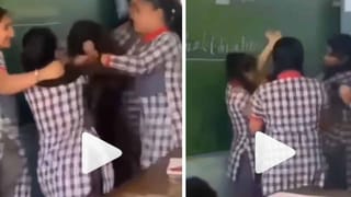 Viral Video: ಪ್ರೀತಿಯ ನಾಯಿಗಾಗಿ ಹೆಬ್ಬಾವಿನೊಂದಿಗೆ ಸೆಣಸಾಡುತ್ತಿರುವ ಈ ಹುಡುಗರು