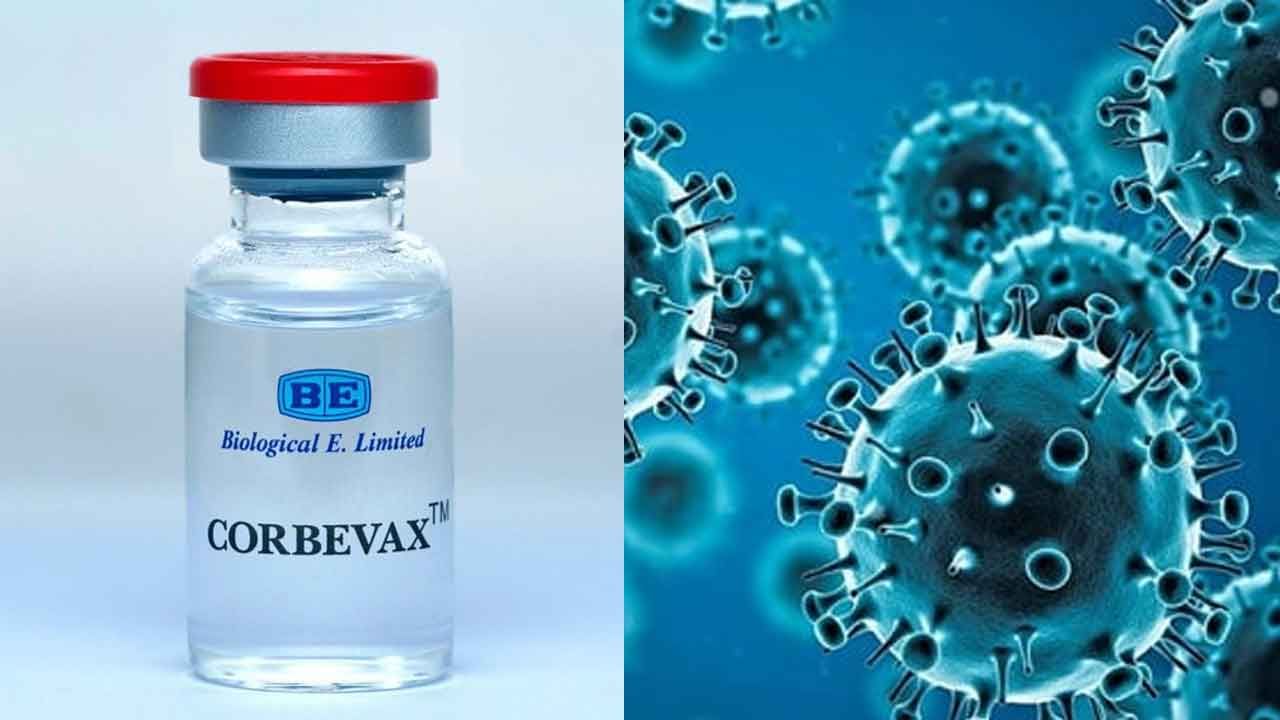 Corbevax: ಕೊವ್ಯಾಕ್ಸಿನ್, ಕೋವಿಶೀಲ್ಡ್ ಲಸಿಕೆ ಪಡೆದವರಿಗೆ ಕೊರ್ಬೆವ್ಯಾಕ್ಸ್ ಬೂಸ್ಟರ್ ಡೋಸ್ ನೀಡಲು ಭಾರತ ಸರ್ಕಾರ ಅನುಮತಿ