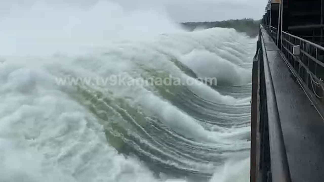 Karnataka Rain: ಜಲಾಶಯಗಳು ಭರ್ತಿ; ಕೃಷ್ಣಾ ಕೊಳ್ಳದಲ್ಲಿ ಪ್ರವಾಹ ಭೀತಿ, ಕೃಷಿ ಭೂಮಿ ಜಲಾವೃತ Karnataka Rain: ಜಲಾಶಯಗಳು ಭರ್ತಿ; ಕೃಷ್ಣಾ ಕೊಳ್ಳದಲ್ಲಿ ಪ್ರವಾಹ ಭೀತಿ, ಕೃಷಿ ಭೂಮಿ ಜಲಾವೃತ