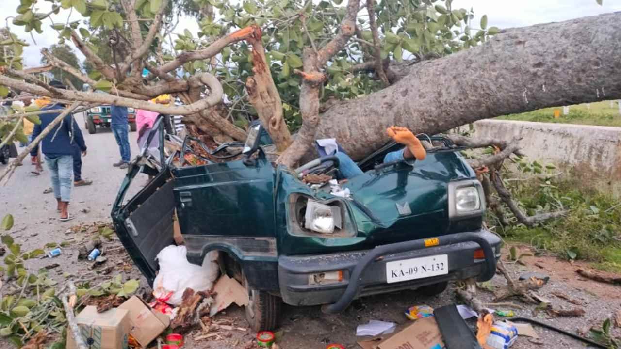 ಕಾರಿನ ಮೇಲೆ ಉರುಳಿಬಿದ್ದ ಹಳೆಯ ಮರ: ತಂದೆ-ಮಗ ಸ್ಥಳದಲ್ಲೇ ದಾರುಣ ಸಾವು