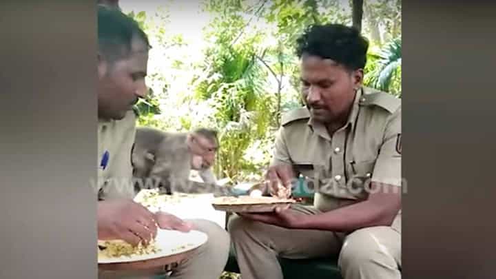 ವಿಪರೀತ ಹಸಿದಿದ್ದ ಗದಗಿನ ಕೋತಿಯೊಂದು ತನ್ನ ಹೊಟ್ಟೆ ತುಂಬಿಸಿಕೊಂಡಿದ್ದು ಹೀಗೆ! ವಿಪರೀತ ಹಸಿದಿದ್ದ ಗದಗಿನ ಕೋತಿಯೊಂದು ತನ್ನ ಹೊಟ್ಟೆ ತುಂಬಿಸಿಕೊಂಡಿದ್ದು ಹೀಗೆ!
