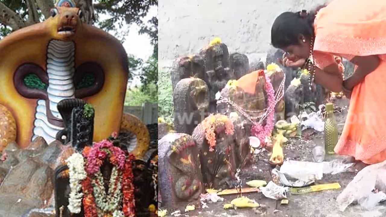 ಕರ್ನಾಟಕದಲ್ಲಿ ಶ್ರಾವಣ ಮಾಸದ ಮೊದಲ ಹಬ್ಬ ನಾಗರಪಂಚಮಿ ಸಂಭ್ರಮ, ಘಾಟಿ ಸುಬ್ರಹ್ಮಣ್ಯದಲ್ಲಿ ಜನದಟ್ಟಣೆ ಕರ್ನಾಟಕದಲ್ಲಿ ಶ್ರಾವಣ ಮಾಸದ ಮೊದಲ ಹಬ್ಬ ನಾಗರಪಂಚಮಿ ಸಂಭ್ರಮ, ಘಾಟಿ ಸುಬ್ರಹ್ಮಣ್ಯದಲ್ಲಿ ಜನದಟ್ಟಣೆ