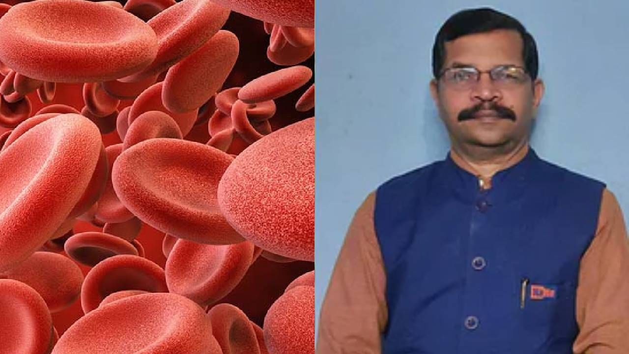 Platelet Count: ರಕ್ತದಲ್ಲಿನ ಕಡಿಮೆ ಪ್ಲೇಟ್ಲೆಟ್ ಕೌಂಟ್ ಹೆಚ್ಚಿಸುವುದು ಹೇಗೆ? Platelet Count: ರಕ್ತದಲ್ಲಿನ ಕಡಿಮೆ ಪ್ಲೇಟ್ಲೆಟ್ ಕೌಂಟ್ ಹೆಚ್ಚಿಸುವುದು ಹೇಗೆ?