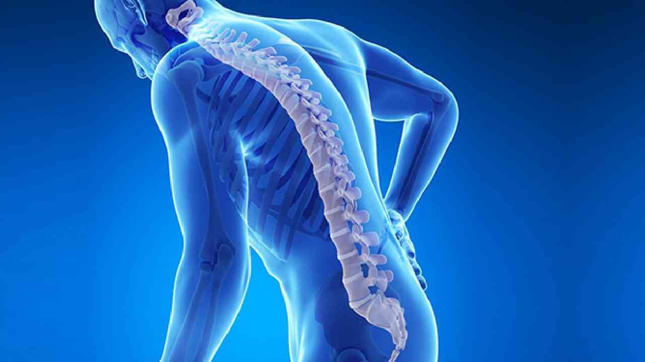 Osteoporosis: ಮೂಳೆಗಳ ಆರೋಗ್ಯ ಮತ್ತು ಶಕ್ತಿ ಹೆಚ್ಚಿಸಲು ಸಹಾಯಕವಾಗುವ ಪೌಷ್ಟಿಕ ಆಹಾರಗಳು ಇಲ್ಲಿವೆ