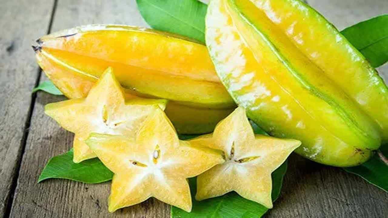 Star Fruit Benefits: ಮಳೆಗಾಲದಲ್ಲಿ ಸ್ಟಾರ್ ಫ್ರೂಟ್ ತಿನ್ನುವುದರಿಂದ ಏನೆಲ್ಲಾ ಪ್ರಯೋಜನಗಳಿವೆ? ಇಲ್ಲಿದೆ ಮಾಹಿತಿ Star Fruit Benefits: ಮಳೆಗಾಲದಲ್ಲಿ ಸ್ಟಾರ್ ಫ್ರೂಟ್ ತಿನ್ನುವುದರಿಂದ ಏನೆಲ್ಲಾ ಪ್ರಯೋಜನಗಳಿವೆ? ಇಲ್ಲಿದೆ ಮಾಹಿತಿ