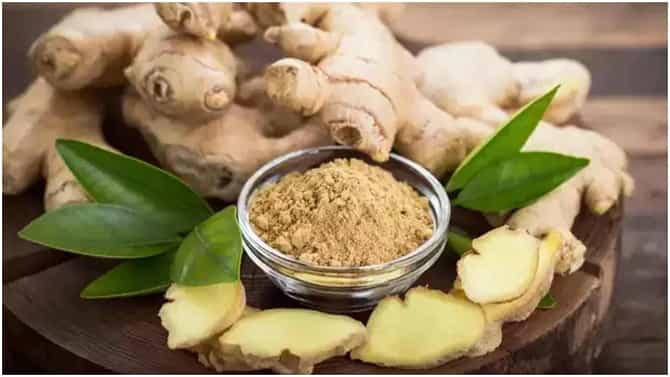 Ginger Side Effects: ಶುಂಠಿಯು ಆರೋಗ್ಯದ ಮೇಲೆ ಏನೆಲ್ಲಾ ದುಷ್ಪರಿಣಾಮ ಬೀರಬಲ್ಲದು ಗೊತ್ತೇ?
