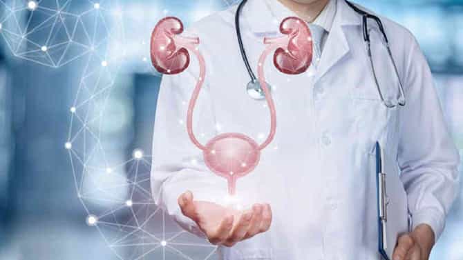 Prostate Cancer: ಪುರುಷರಲ್ಲಿ ಈ ರೋಗ ಲಕ್ಷಣಗಳು ಪ್ರಾಸ್ಟೇಟ್ ಕ್ಯಾನ್ಸರ್ ಸಂಕೇತವಾಗಿರಬಹುದು, ಇರಲಿ ಎಚ್ಚರ