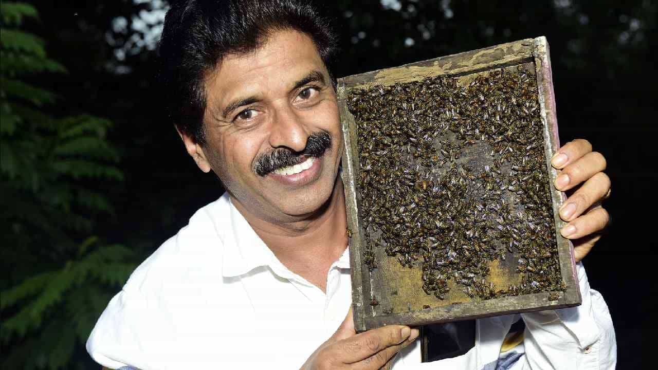 ಬದುಕು ಬದಲಿಸಿದ ಜೇನು ಕೃಷಿ: ಶಿರಸಿಯ ಸಾಧಕ ಡಾ. ಮಧುಕೇಶ್ವರ ಹೆಗಡೆ ವಿಶೇಷ ಸಂದರ್ಶನ
