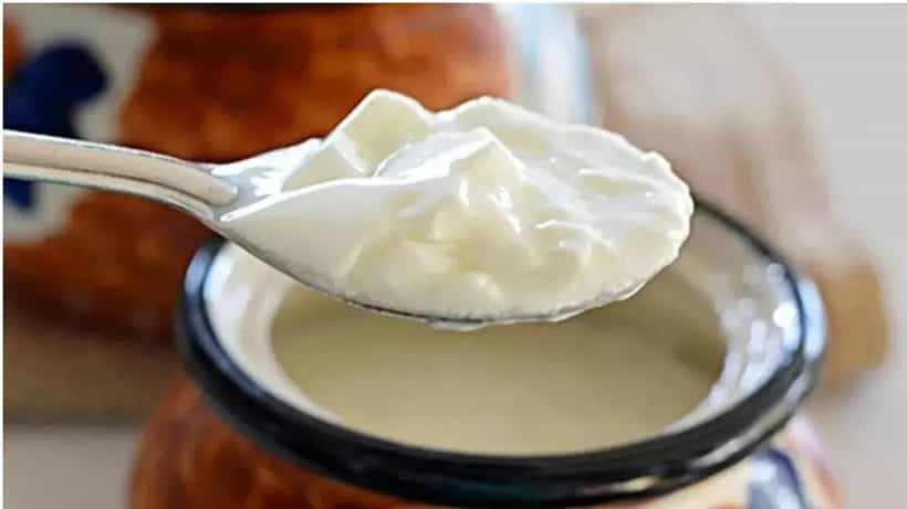 Side Effects Of Curd: ರಾತ್ರಿ ವೇಳೆ ಮೊಸರು ಸೇವನೆ ಆರೋಗ್ಯಕ್ಕೆ ಒಳ್ಳೆಯದೇ?, ಆಯುರ್ವೇದ ಹೇಳುವುದೇನು?