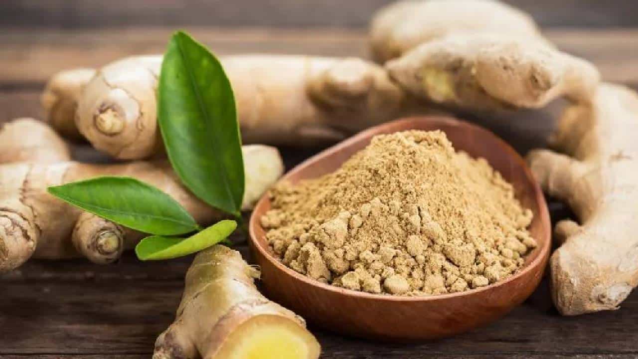 Ginger Benefits: ಜೀರ್ಣಕ್ರಿಯೆಗೆ ಸಹಕಾರಿಯಾದ ಶುಂಠಿಯ ಇತರೆ 11 ಪ್ರಯೋಜನಗಳ ಬಗ್ಗೆ ತಿಳಿಯಿರಿ Ginger Benefits: ಜೀರ್ಣಕ್ರಿಯೆಗೆ ಸಹಕಾರಿಯಾದ ಶುಂಠಿಯ ಇತರೆ 11 ಪ್ರಯೋಜನಗಳ ಬಗ್ಗೆ ತಿಳಿಯಿರಿ