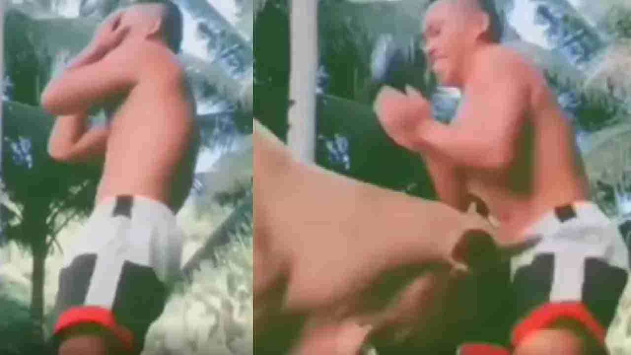 Viral Video: ಅಯ್ಯೋ... 'ಮಾರ್ ಡಾಲಾ' ಸಾಂಗ್ಗೆ ಡಾನ್ಸ್ ಮಾಡುತ್ತಿದ್ದ ಯುವಕನಿಗೆ ಗುದ್ದಿಯೇ ಬಿಡ್ತು ಈ ಹಸು Viral Video: ಅಯ್ಯೋ... 'ಮಾರ್ ಡಾಲಾ' ಸಾಂಗ್ಗೆ ಡಾನ್ಸ್ ಮಾಡುತ್ತಿದ್ದ ಯುವಕನಿಗೆ ಗುದ್ದಿಯೇ ಬಿಡ್ತು ಈ ಹಸು