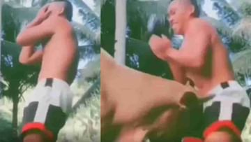 Viral Video: ಅಯ್ಯೋ... 'ಮಾರ್ ಡಾಲಾ' ಸಾಂಗ್ಗೆ ಡಾನ್ಸ್ ಮಾಡುತ್ತಿದ್ದ ಯುವಕನಿಗೆ ಗುದ್ದಿಯೇ ಬಿಡ್ತು ಈ ಹಸು