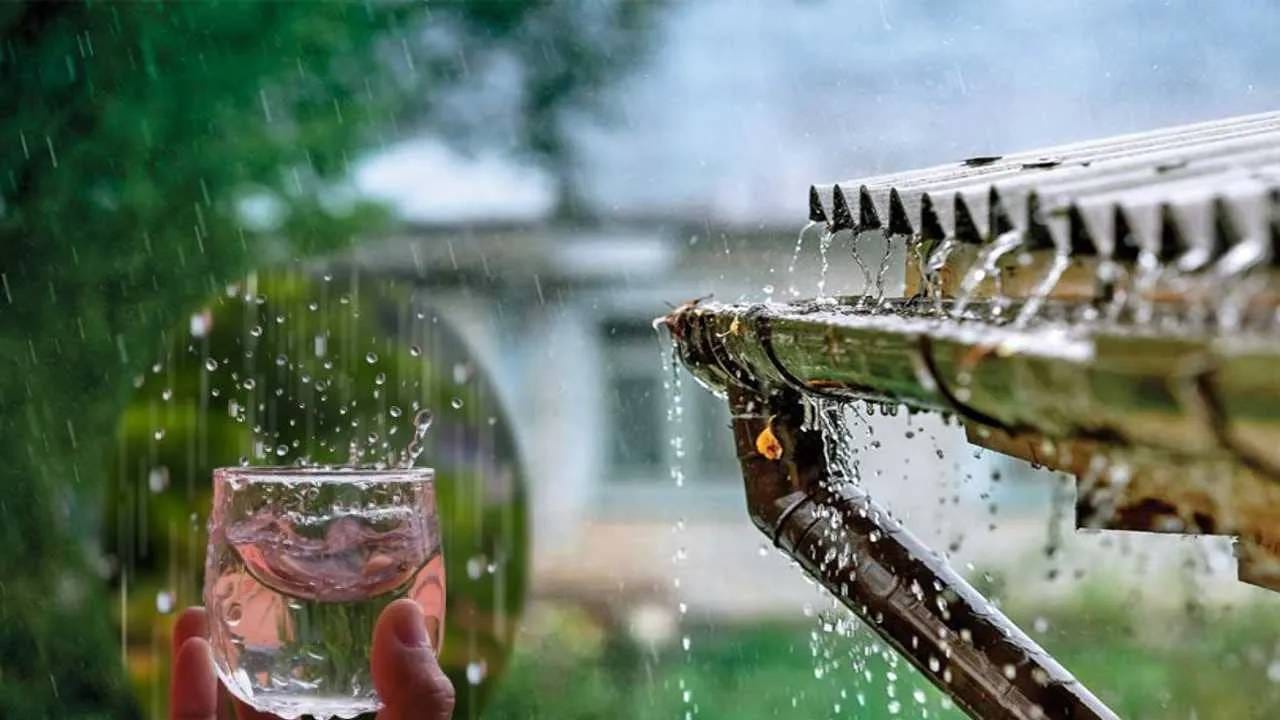 Rain Water ಮಳೆ ನೀರು ಕುಡಿಯಲು ಯೋಗ್ಯವಲ್ಲ ಏಕೆ? Study Says Rainwater Is