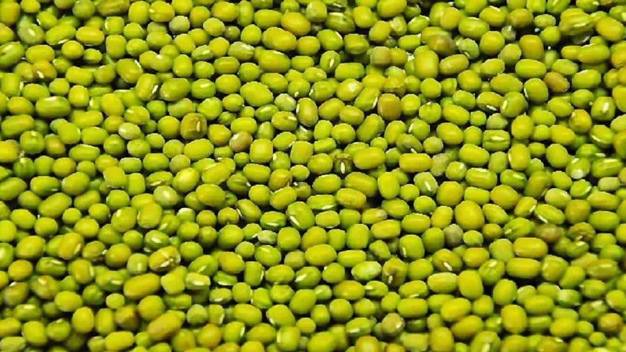 Mung Beans: ನಿತ್ಯ ಮೊಳಕೆಕಟ್ಟಿದ ಹೆಸರುಕಾಳು ತಿನ್ನುವುದರಿಂದಾಗುವ ಅದ್ಭುತ ಆರೋಗ್ಯ ಪ್ರಯೋಜನಗಳನ್ನು ತಿಳಿಯಿರಿ Mung Beans: ನಿತ್ಯ ಮೊಳಕೆಕಟ್ಟಿದ ಹೆಸರುಕಾಳು ತಿನ್ನುವುದರಿಂದಾಗುವ ಅದ್ಭುತ ಆರೋಗ್ಯ ಪ್ರಯೋಜನಗಳನ್ನು ತಿಳಿಯಿರಿ