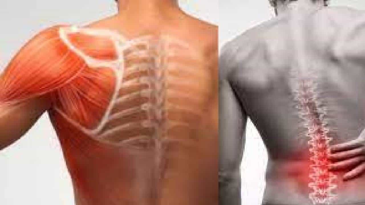 Calcium Deficiency: ದೇಹದಲ್ಲಿ ಕ್ಯಾಲ್ಸಿಯಂ ಕೊರತೆಯು ಈ ರೋಗಗಳಿಗೆ ಆಹ್ವಾನ ನೀಡಬಹುದು Calcium Deficiency: ದೇಹದಲ್ಲಿ ಕ್ಯಾಲ್ಸಿಯಂ ಕೊರತೆಯು ಈ ರೋಗಗಳಿಗೆ ಆಹ್ವಾನ ನೀಡಬಹುದು