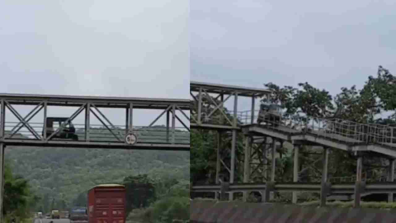 Viral Video: ರಸ್ತೆಯಲ್ಲಿ ಸಂಚರಿಸುತ್ತಿದ್ದೇನೆ ಎಂದು ಬೀಗಬೇಡ, ಫುಟ್ಬ್ರಿಡ್ಜ್ನಲ್ಲಿ ಆಟೋ ಸಂಚರಿಸಿದ್ದನ್ನು ನೋಡಿದ್ದೇವೆ