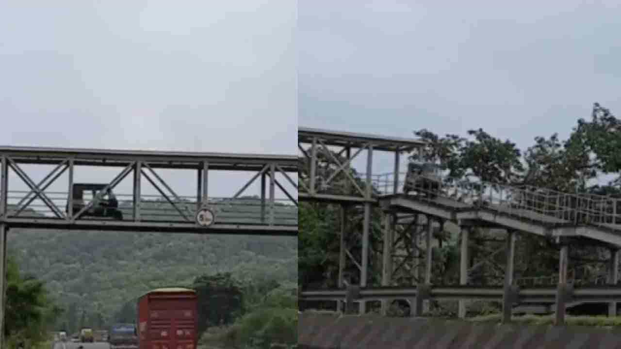 Viral Video: ರಸ್ತೆಯಲ್ಲಿ ಸಂಚರಿಸುತ್ತಿದ್ದೇನೆ ಎಂದು ಬೀಗಬೇಡ, ಫುಟ್ಬ್ರಿಡ್ಜ್ನಲ್ಲಿ ಆಟೋ ಸಂಚರಿಸಿದ್ದನ್ನು ನೋಡಿದ್ದೇವೆ Viral Video: ರಸ್ತೆಯಲ್ಲಿ ಸಂಚರಿಸುತ್ತಿದ್ದೇನೆ ಎಂದು ಬೀಗಬೇಡ, ಫುಟ್ಬ್ರಿಡ್ಜ್ನಲ್ಲಿ ಆಟೋ ಸಂಚರಿಸಿದ್ದನ್ನು ನೋಡಿದ್ದೇವೆ