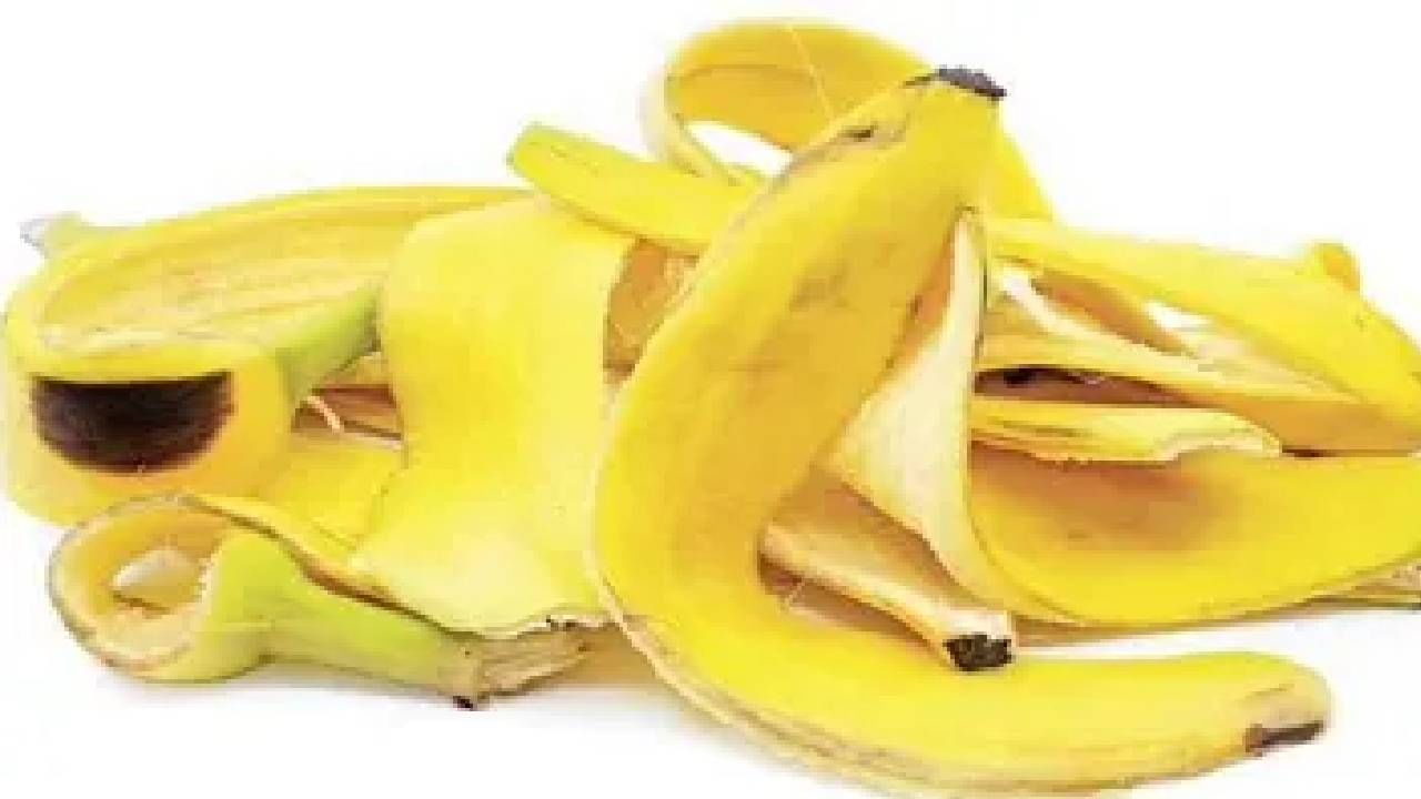 Banana Peel: ಬಾಳೆಹಣ್ಣಿನ ಸಿಪ್ಪೆಯನ್ನು ಎಸೆಯಬೇಡಿ, ಉಪಯೋಗಗಳ ಬಗ್ಗೆ ತಿಳಿಯಿರಿ