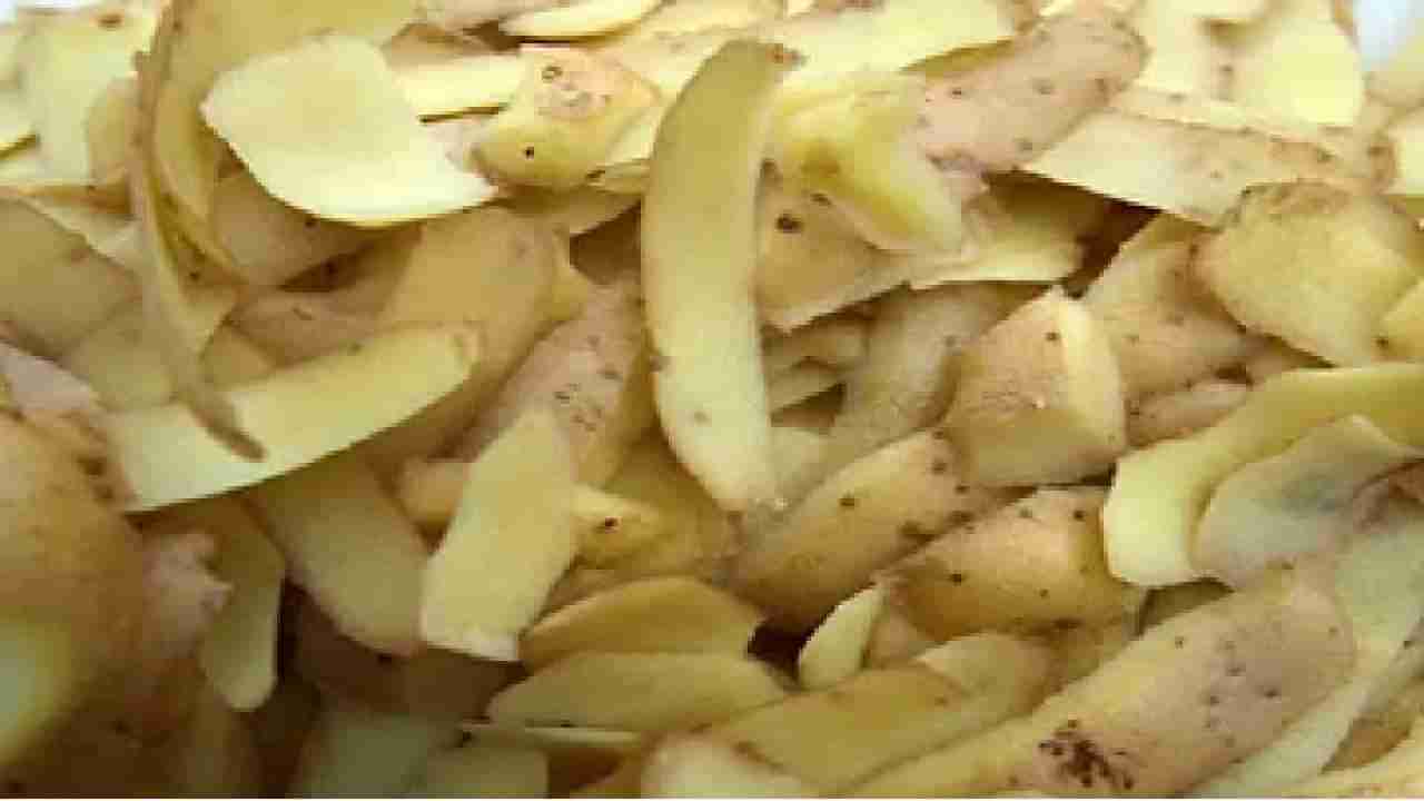 Potato Peels: ಆಲೂಗಡ್ಡೆ ಸಿಪ್ಪೆಯನ್ನು ಎಸೆಯುತ್ತಿದ್ದೀರಾ? ಆದರೆ ಅದರ ಪ್ರಯೋಜನಗಳು ಸಾಕಷ್ಟಿವೆ ತಿಳಿಯಿರಿ