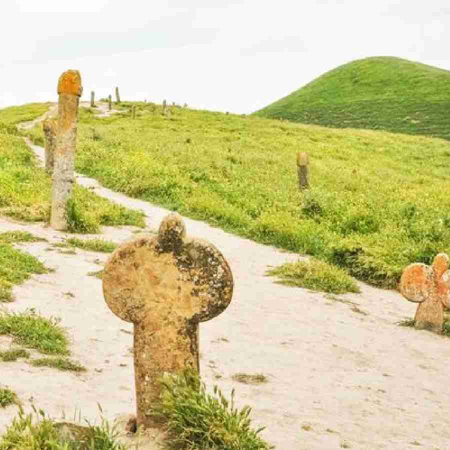 Bizarre News Tombstones in cemetery that resemble male and female genitalia