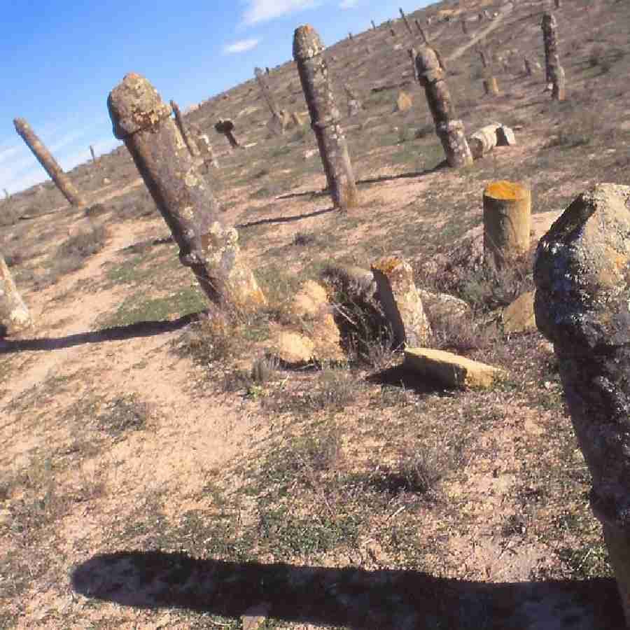 Bizarre News Tombstones in cemetery that resemble male and female genitalia