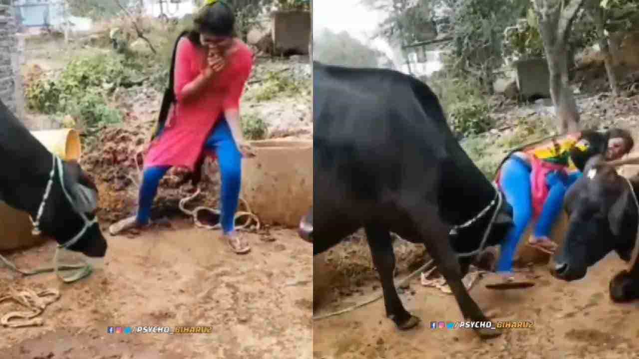 Viral Video: ವಿಲಕ್ಷಣವಾಗಿ ಡಾನ್ಸ್ ಮಾಡಿ ಸೈಲೆಂಟ್ ಆಗಿದ್ದ ಹಸುವನ್ನು ವೈಲೆಂಟ್ ಮಾಡಿದ ಯುವತಿ; ಮುಂದೇನಾಯ್ತು ಗೊತ್ತಾ? Viral Video: ವಿಲಕ್ಷಣವಾಗಿ ಡಾನ್ಸ್ ಮಾಡಿ ಸೈಲೆಂಟ್ ಆಗಿದ್ದ ಹಸುವನ್ನು ವೈಲೆಂಟ್ ಮಾಡಿದ ಯುವತಿ; ಮುಂದೇನಾಯ್ತು ಗೊತ್ತಾ?