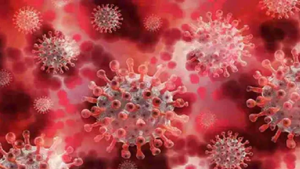 Covid-19 Variant: ದೀರ್ಘಕಾಲದವರೆಗೆ ಕೋವಿಡ್ ಹೊಂದಿರುವ ರೋಗಿಗಳಿಂದ ಹೊಸ ರೂಪಾಂತರಿಗಳು ಹೊರಹೊಮ್ಮಬಹುದು Covid-19 Variant: ದೀರ್ಘಕಾಲದವರೆಗೆ ಕೋವಿಡ್ ಹೊಂದಿರುವ ರೋಗಿಗಳಿಂದ ಹೊಸ ರೂಪಾಂತರಿಗಳು ಹೊರಹೊಮ್ಮಬಹುದು