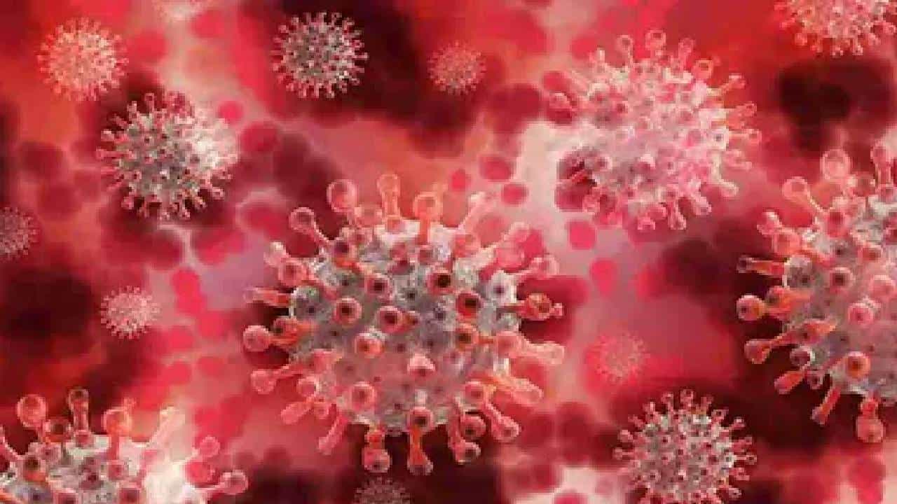 Covid-19 Variant: ದೀರ್ಘಕಾಲದವರೆಗೆ ಕೋವಿಡ್ ಹೊಂದಿರುವ ರೋಗಿಗಳಿಂದ ಹೊಸ ರೂಪಾಂತರಿಗಳು ಹೊರಹೊಮ್ಮಬಹುದು Covid-19 Variant: ದೀರ್ಘಕಾಲದವರೆಗೆ ಕೋವಿಡ್ ಹೊಂದಿರುವ ರೋಗಿಗಳಿಂದ ಹೊಸ ರೂಪಾಂತರಿಗಳು ಹೊರಹೊಮ್ಮಬಹುದು