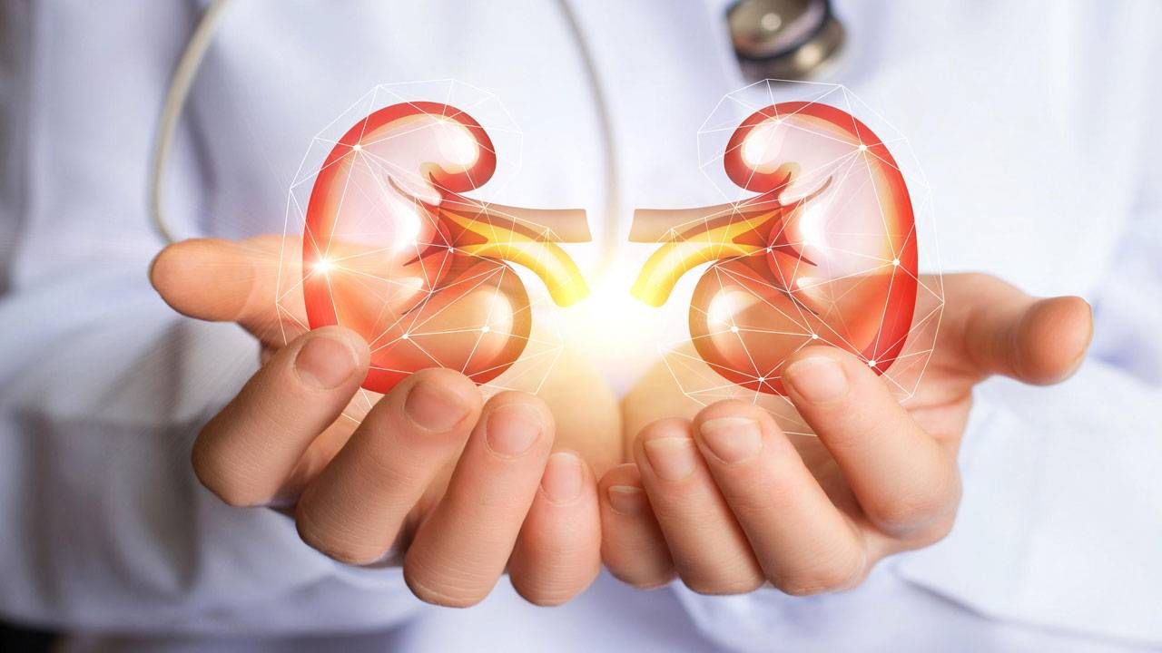 Kidney Health: ನಿಮ್ಮ ಕಿಡ್ನಿಗಳು ಈ ಸೂಚನೆಗಳನ್ನು ನೀಡುತ್ತಿದ್ದರೆ ತಕ್ಷಣ ವೈದ್ಯರ ಬಳಿ ತೆರಳಿ