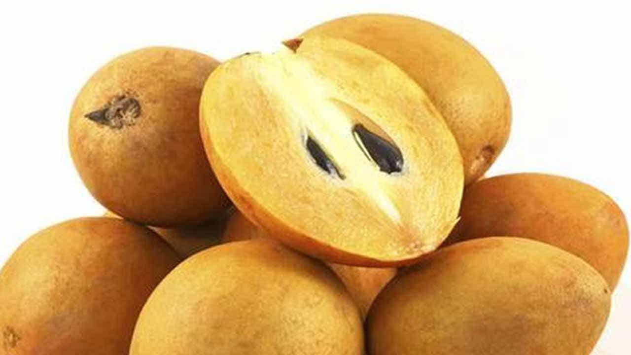 Sapota Benefits: ಸಪೋಟ ಗಾತ್ರದಲ್ಲಿ ಚಿಕ್ಕದಾಗಿರಬಹುದು ಆದರೆ ಆರೋಗ್ಯಕ್ಕಿದೆ ದೊಡ್ಡ ಪ್ರಯೋಜನ Sapota Benefits: ಸಪೋಟ ಗಾತ್ರದಲ್ಲಿ ಚಿಕ್ಕದಾಗಿರಬಹುದು ಆದರೆ ಆರೋಗ್ಯಕ್ಕಿದೆ ದೊಡ್ಡ ಪ್ರಯೋಜನ