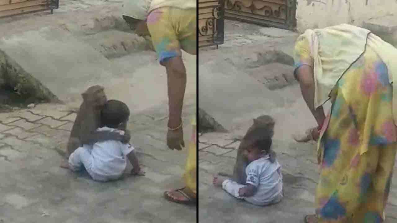 Viral Video: ಮುದ್ದಾದ ಮಗುವನ್ನು ಬಿಟ್ಟುಕೊಡಲು ಬಯಸದ ಕೋತಿ Viral Video: ಮುದ್ದಾದ ಮಗುವನ್ನು ಬಿಟ್ಟುಕೊಡಲು ಬಯಸದ ಕೋತಿ