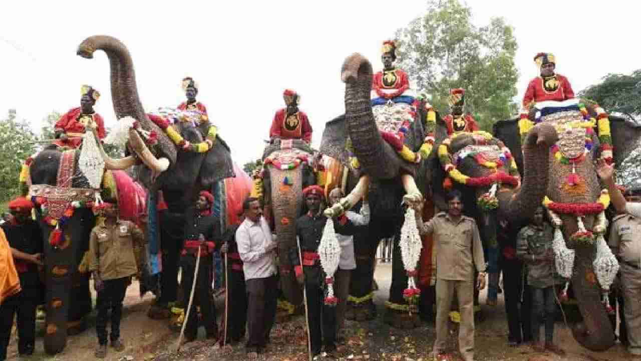 ಇಂದು ಮೈಸೂರು ದಸರಾ ಗಜಪಯಣ ಆರಂಭ: ಸಚಿವ ಎಸ್​.ಟಿ ಸೋಮಶೇಖರ್ ಚಾಲನೆ