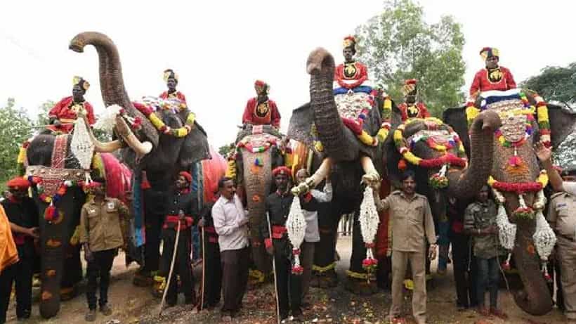 ಇಂದು ಮೈಸೂರು ದಸರಾ ಗಜಪಯಣ ಆರಂಭ: ಸಚಿವ ಎಸ್.ಟಿ ಸೋಮಶೇಖರ್ ಚಾಲನೆ