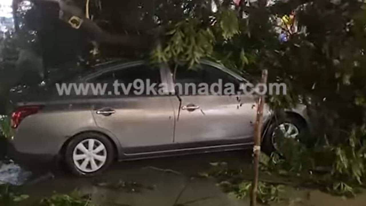 Karnataka Rain: ಬೆಂಗಳೂರಿನ ಹಲವೆಡೆ ಸಂಜೆಯಿಂದ ಜೋರು ಮಳೆ; ಧರೆಗುರುಳಿದ ಮರದ ಕೊಂಬೆಗಳು, ಪರದಾಡುತ್ತಿರುವ ವಾಹನ ಸವಾರರು Karnataka Rain: ಬೆಂಗಳೂರಿನ ಹಲವೆಡೆ ಸಂಜೆಯಿಂದ ಜೋರು ಮಳೆ; ಧರೆಗುರುಳಿದ ಮರದ ಕೊಂಬೆಗಳು, ಪರದಾಡುತ್ತಿರುವ ವಾಹನ ಸವಾರರು