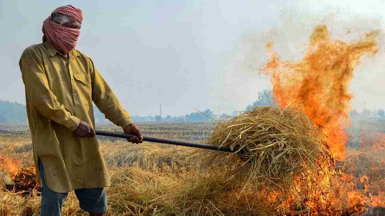 Stubble Burning: ಏನಿದು ಸ್ಟಬಲ್ ಬರ್ನಿಂಗ್​; ಇದಕ್ಕೂ ದೆಹಲಿ ವಾಯುಮಾಲಿನ್ಯಕ್ಕೂ ಏನು ನಂಟು? ಇಲ್ಲಿದೆ ವಿವರ