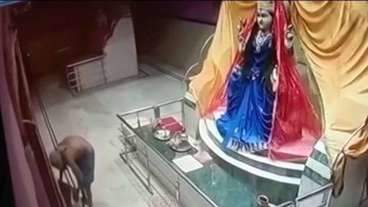 ವೃತ್ತಿಯಿಂದ ಕಳ್ಳನಾದರೂ ಇವನ ಧಾರ್ಮಿಕ ಶ್ರದ್ಧೆ ಪ್ರಶ್ನಾತೀತವಾದದ್ದು! ವೃತ್ತಿಯಿಂದ ಕಳ್ಳನಾದರೂ ಇವನ ಧಾರ್ಮಿಕ ಶ್ರದ್ಧೆ ಪ್ರಶ್ನಾತೀತವಾದದ್ದು!