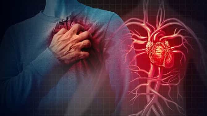 Health Tips: ಅಡುಗೆಯಲ್ಲಿ ಈ ಎಣ್ಣೆಗಳನ್ನು ಬಳಸಿ ಹೃದಯ ಸಂಬಂಧಿ ಕಾಯಿಲೆಗಳಿಂದ ದೂರವಿರಿ