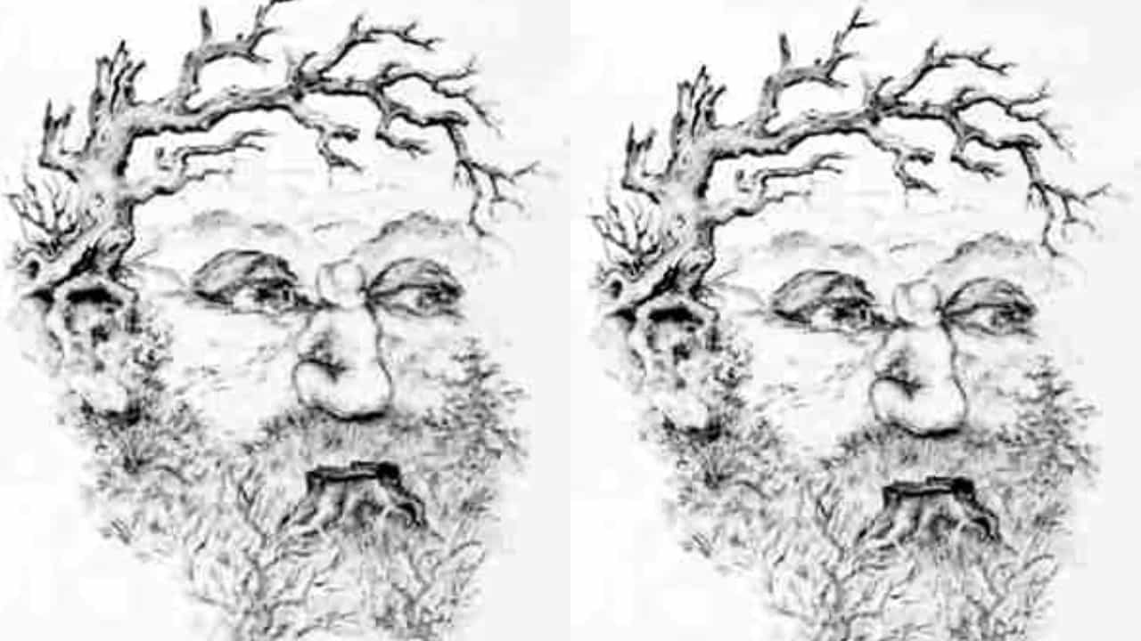 Optical Illusion: ಗಡ್ಡಧಾರಿ ಪುರುಷನ ಮುಖದಲ್ಲಿ ಒಬ್ಬಳು ಹುಡುಗಿ ಇದ್ದಾಳೆ ನೋಡ ನೀವು ಕಂಡುಹಿಡಿಯಿರಿ? Optical Illusion: ಗಡ್ಡಧಾರಿ ಪುರುಷನ ಮುಖದಲ್ಲಿ ಒಬ್ಬಳು ಹುಡುಗಿ ಇದ್ದಾಳೆ ನೋಡ ನೀವು ಕಂಡುಹಿಡಿಯಿರಿ?